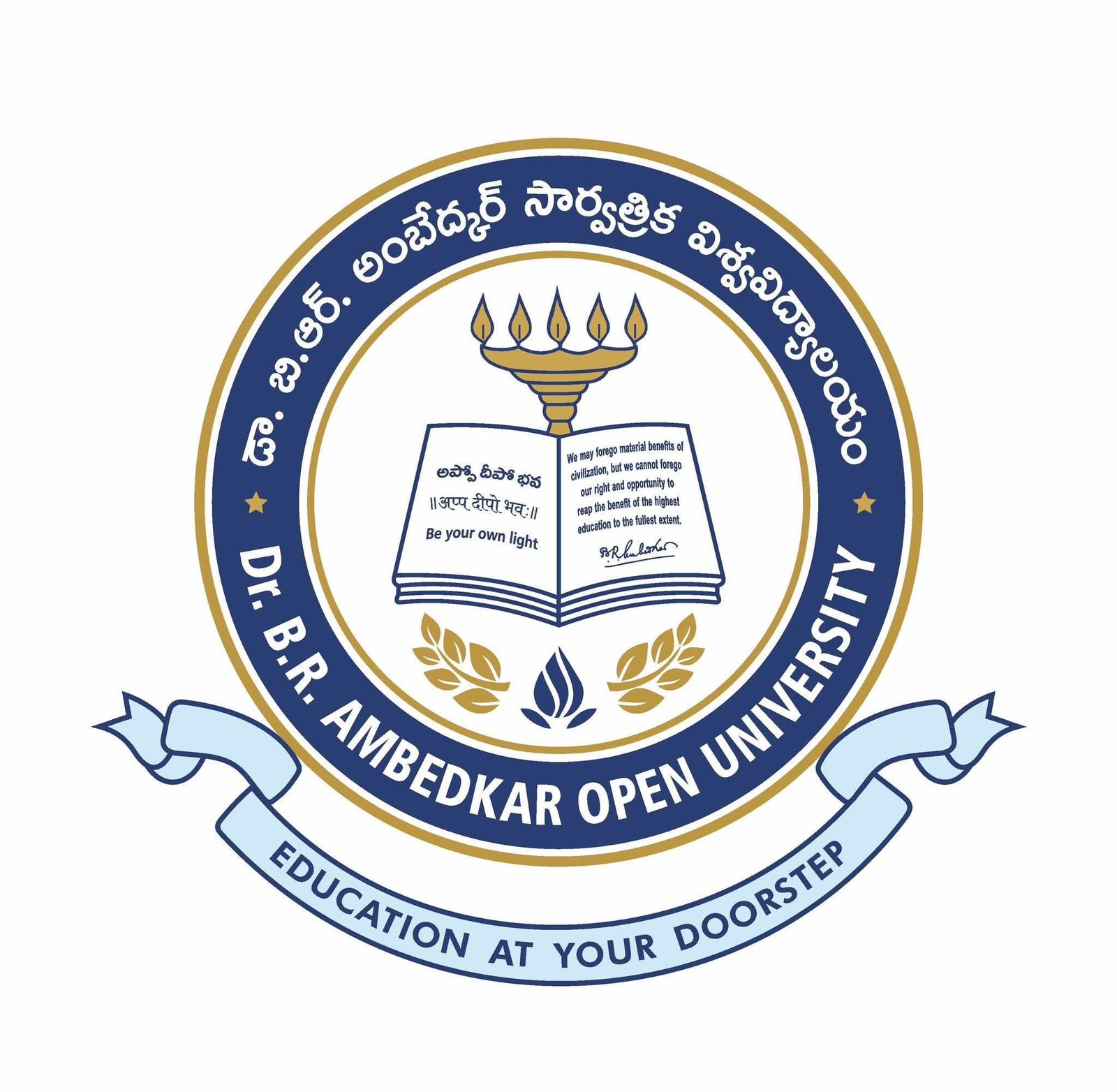 Dr BR Ambedkar Open University logo
